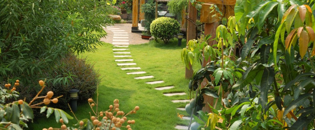 landscaping-garden